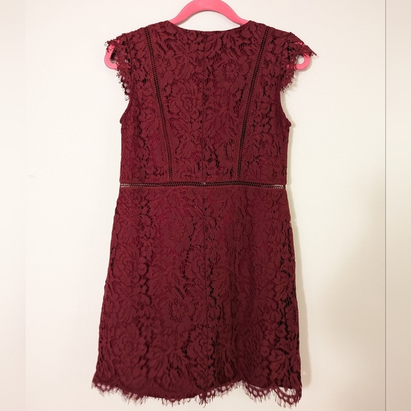 Tobi Sophia Wine Lace Dress - Picture 4 of 14